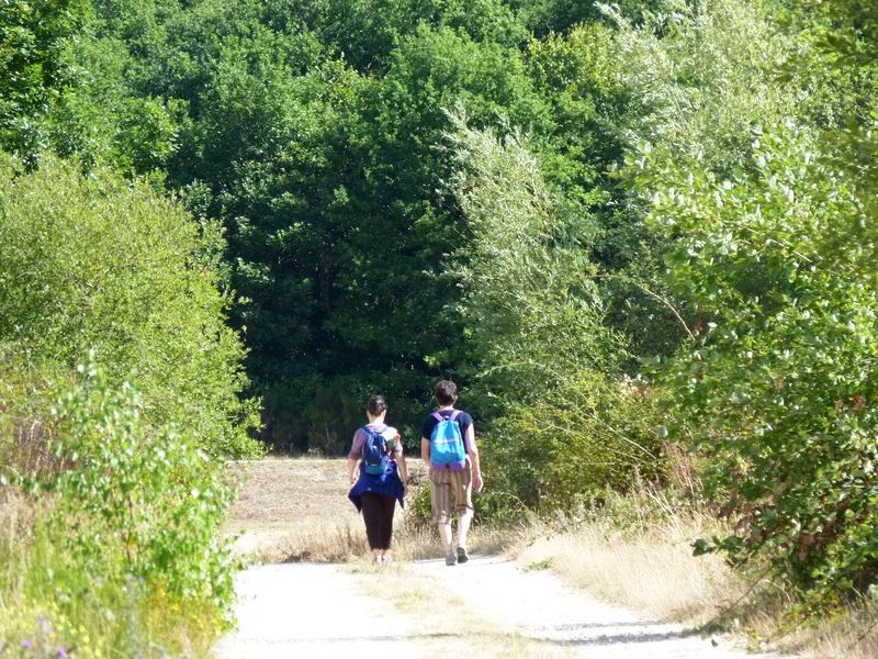 Circuit de Morchêne, Saint-Cyr-en-Val - photo 20