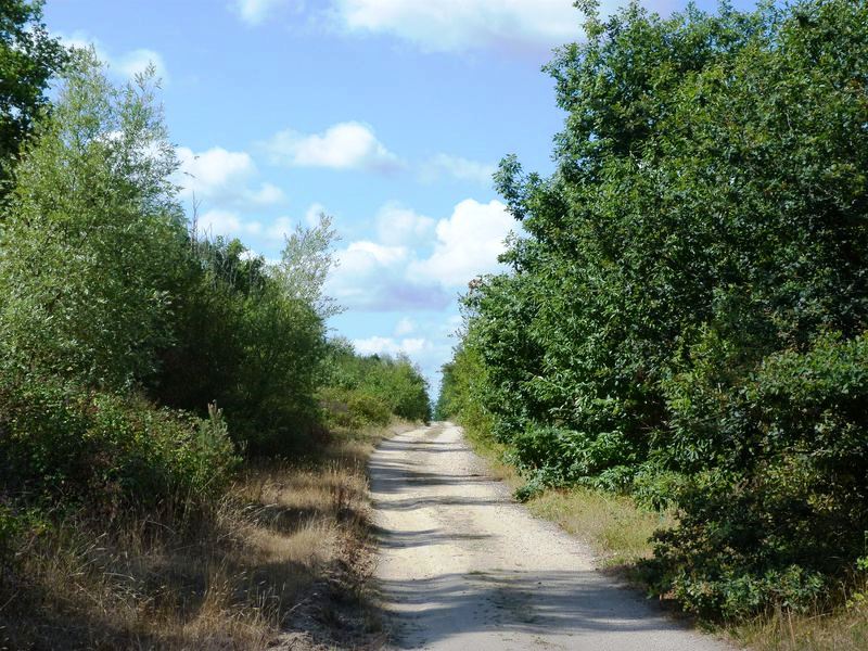 Circuit de Morchêne, Saint-Cyr-en-Val - photo 24