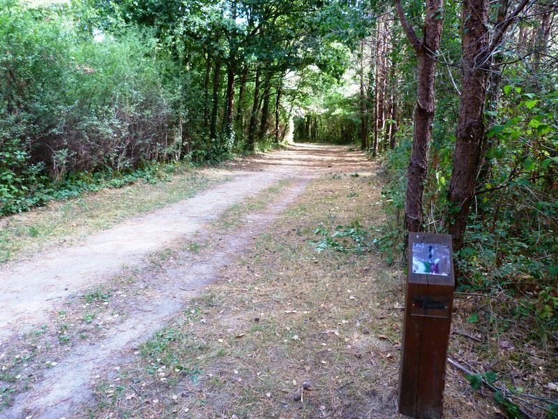 Circuit de Morchêne, Saint-Cyr-en-Val - photo 25