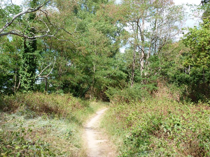 La Pointe de Courpain, Saint-Pryvé-Saint-Mesmin - photo 3