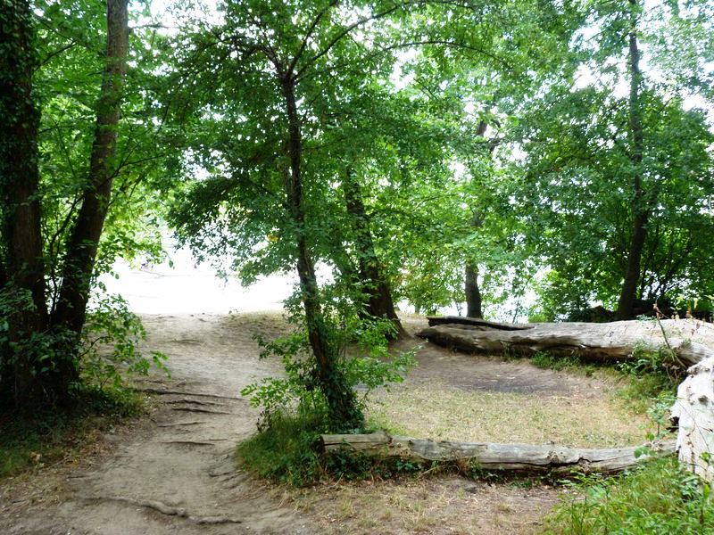 La Pointe de Courpain, Saint-Pryvé-Saint-Mesmin - photo 20