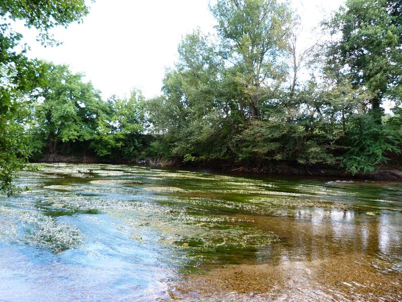 La Pointe de Courpain, Saint-Pryvé-Saint-Mesmin - photo 2