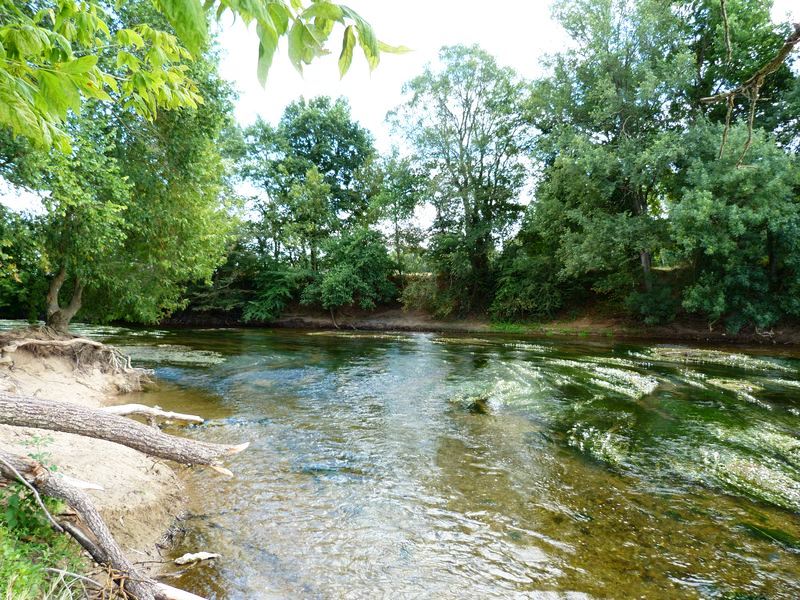 La Pointe de Courpain, Saint-Pryvé-Saint-Mesmin - photo 22