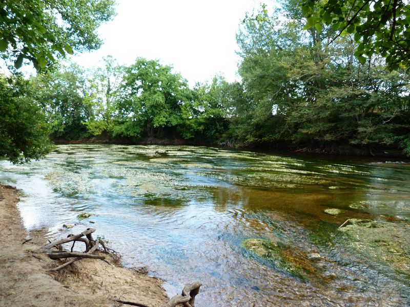 La Pointe de Courpain, Saint-Pryvé-Saint-Mesmin - photo 8