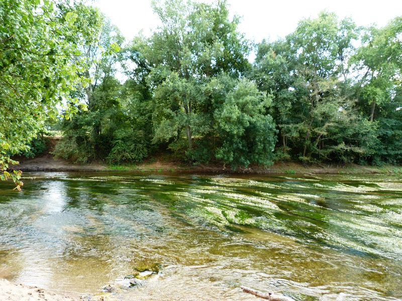 La Pointe de Courpain, Saint-Pryvé-Saint-Mesmin