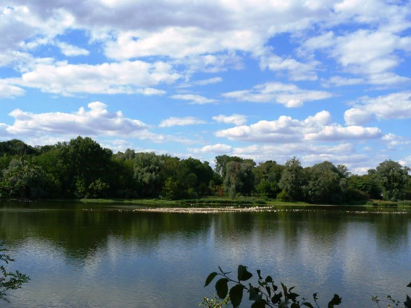 La Pointe de Courpain, Saint-Pryvé-Saint-Mesmin - photo 15