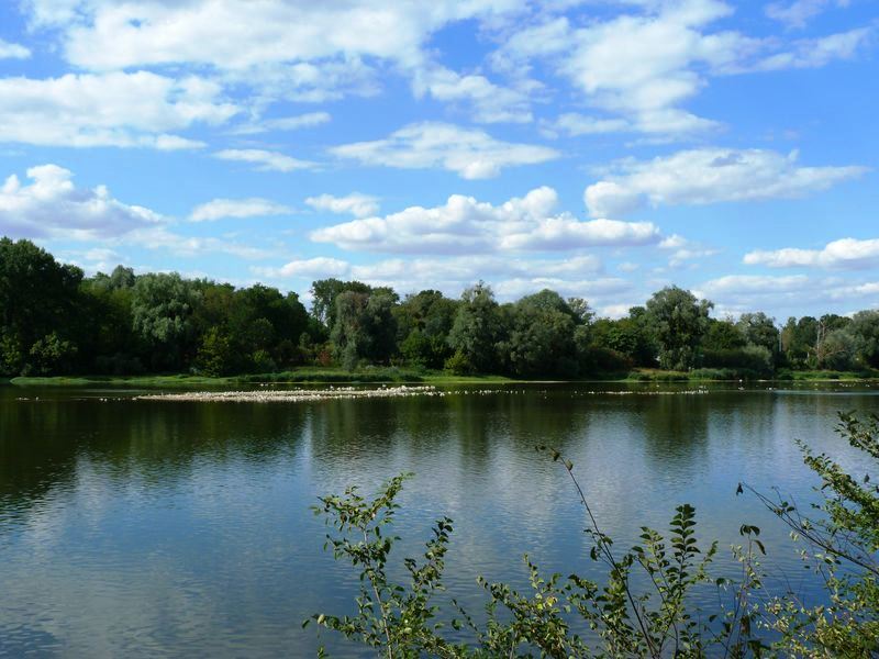 La Pointe de Courpain, Saint-Pryvé-Saint-Mesmin - photo 19