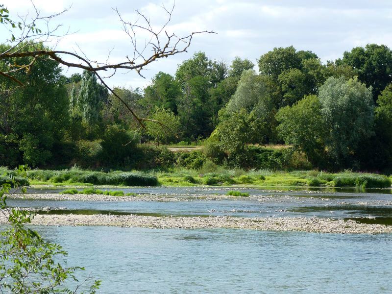 La Pointe de Courpain, Saint-Pryvé-Saint-Mesmin - photo 10