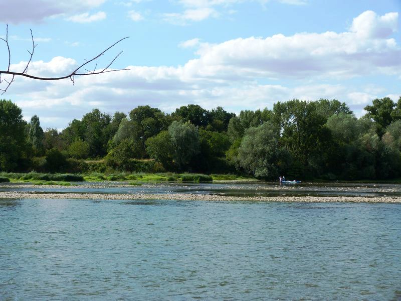 La Pointe de Courpain, Saint-Pryvé-Saint-Mesmin - photo 16