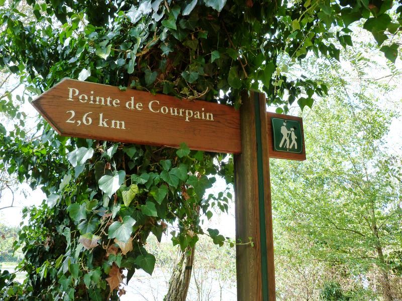 La Pointe de Courpain, Saint-Pryvé-Saint-Mesmin - photo 11