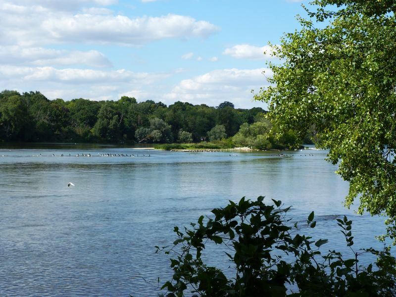 La Pointe de Courpain, Saint-Pryvé-Saint-Mesmin - photo 12
