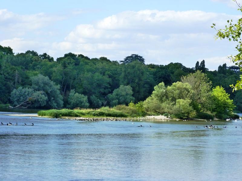 La Pointe de Courpain, Saint-Pryvé-Saint-Mesmin - photo 14