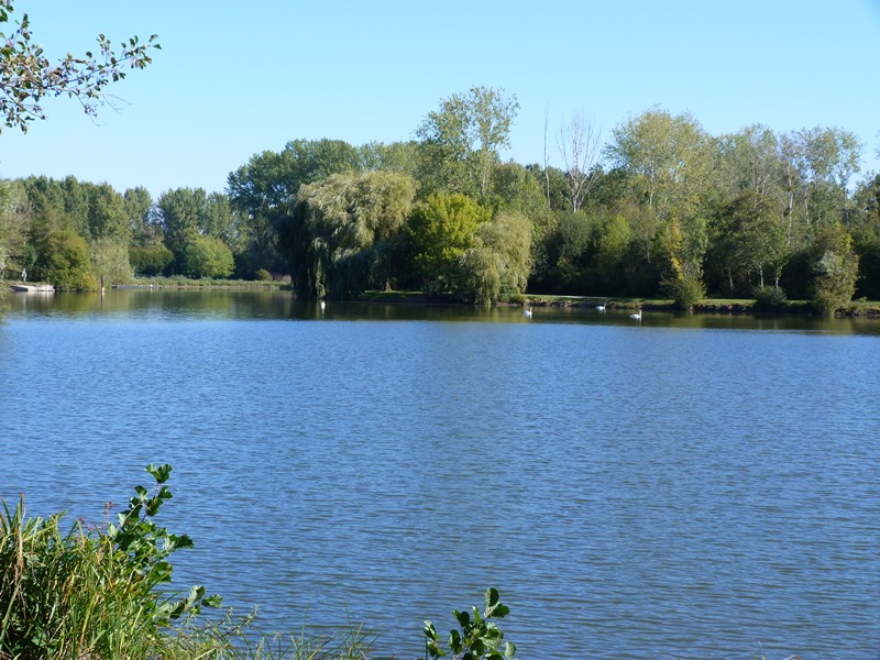 Prairie des étangs de Dordives, Dordives - photo 8