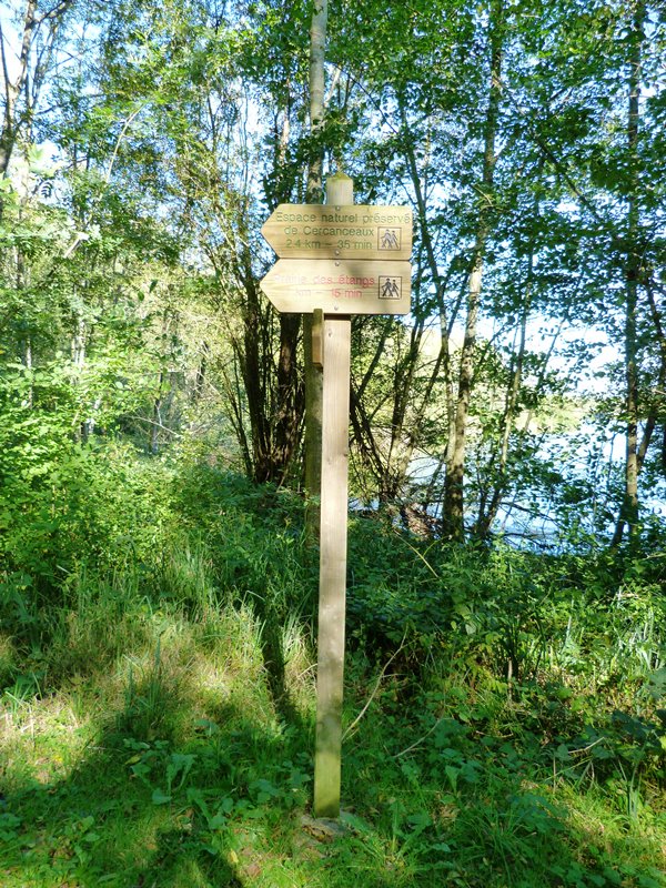 Prairie des étangs de Dordives, Dordives - photo 5