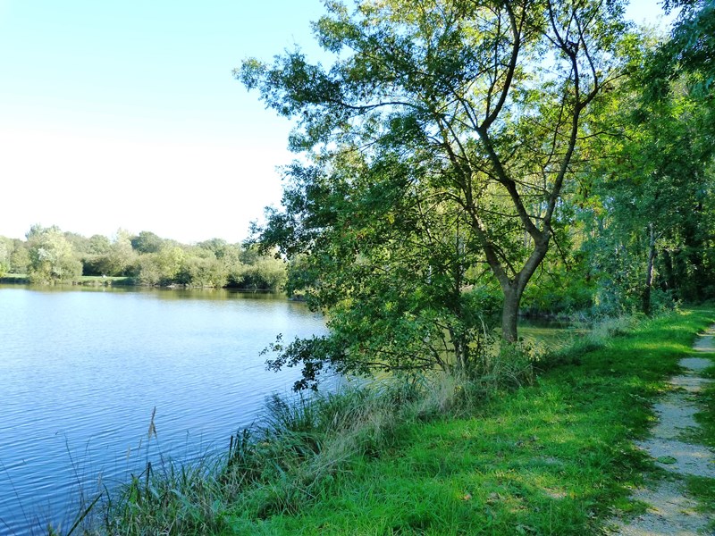 Prairie des étangs de Dordives, Dordives - photo 11