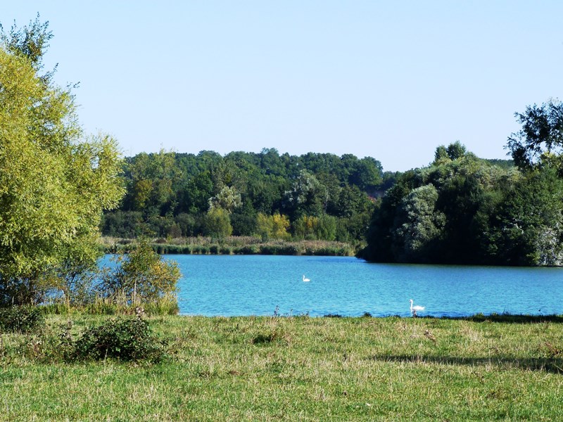 Espace naturel sensible la Sablière de Cercanceaux, Dordives - photo 5