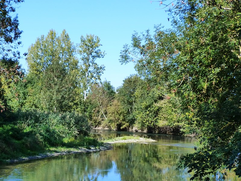 Espace naturel sensible la Sablière de Cercanceaux, Dordives - photo 10