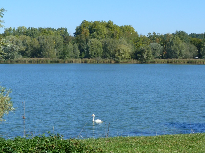 Espace naturel sensible la Sablière de Cercanceaux, Dordives - photo 3