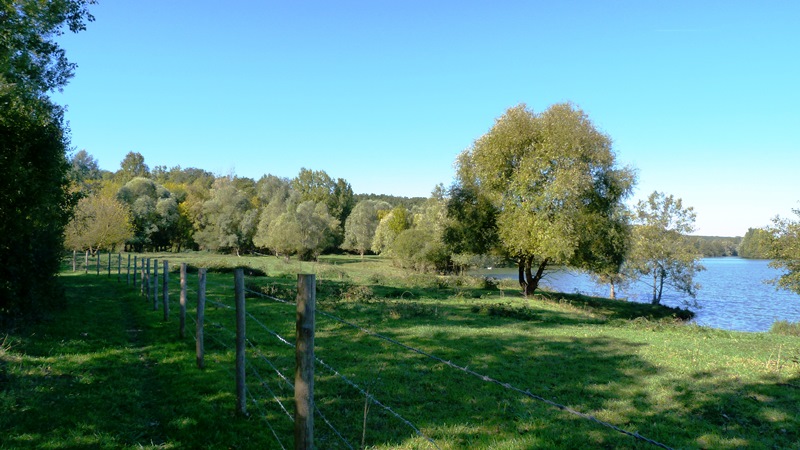 Espace naturel sensible la Sablière de Cercanceaux, Dordives - photo 6