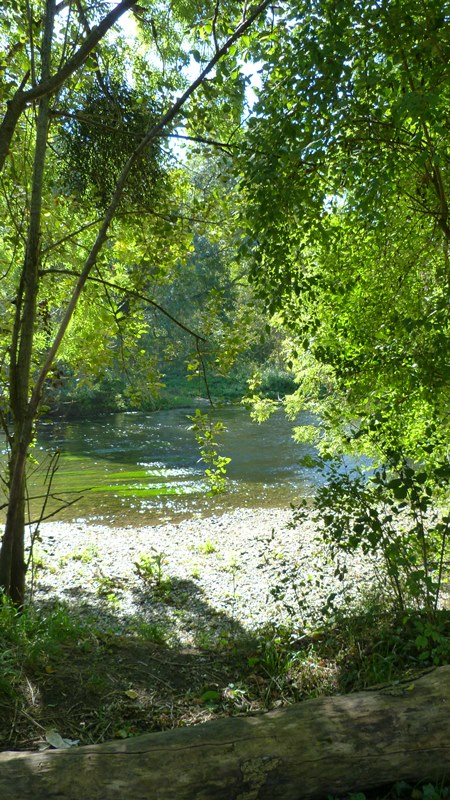 Espace naturel sensible la Sablière de Cercanceaux, Dordives - photo 8