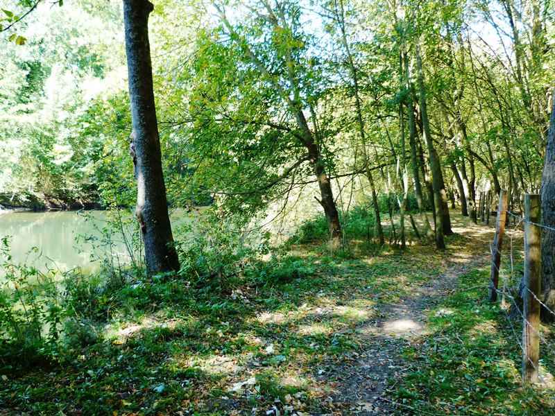 Espace naturel sensible la Sablière de Cercanceaux, Dordives - photo 2