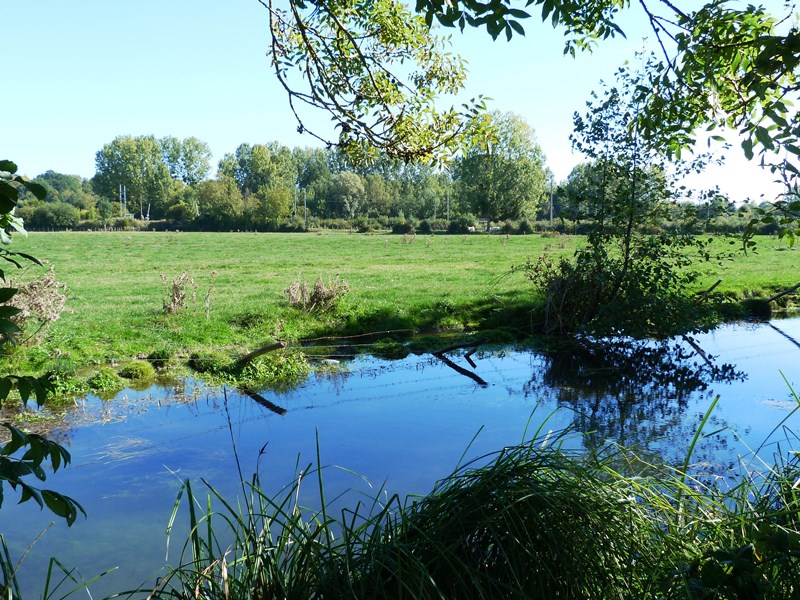 Espace naturel sensible la Sablière de Cercanceaux, Dordives - photo 9