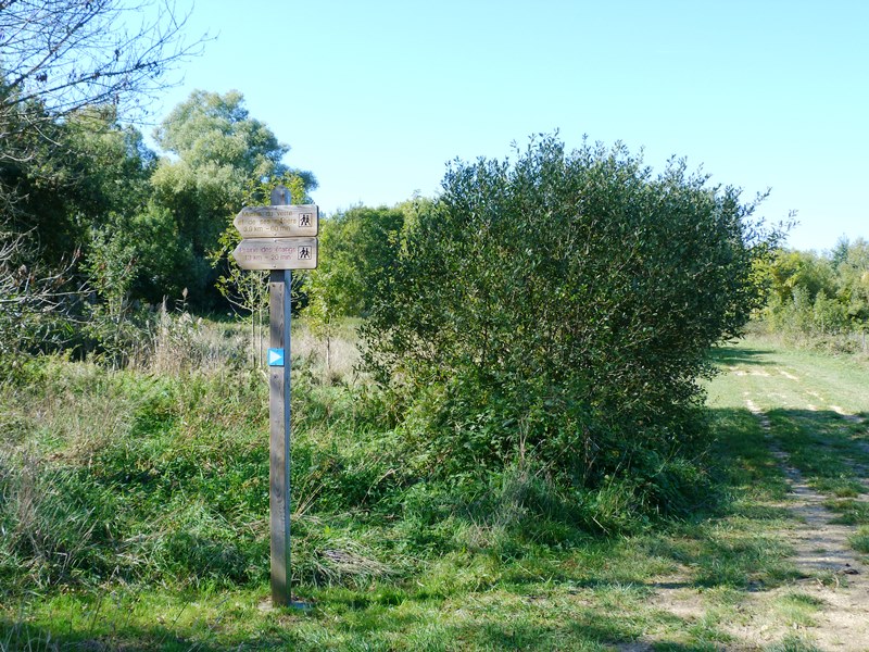 Espace naturel sensible la Sablière de Cercanceaux, Dordives