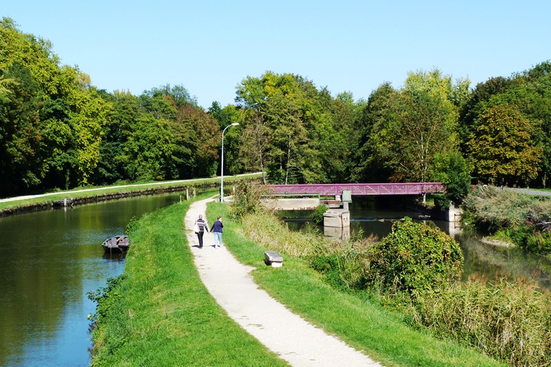 De l'arbre à l'eau, Paucourt - photo 3