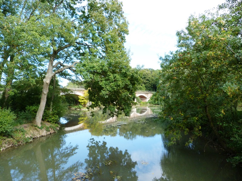 Sentier "Le Grand Rozeau", Châlette-sur-Loing - photo 4