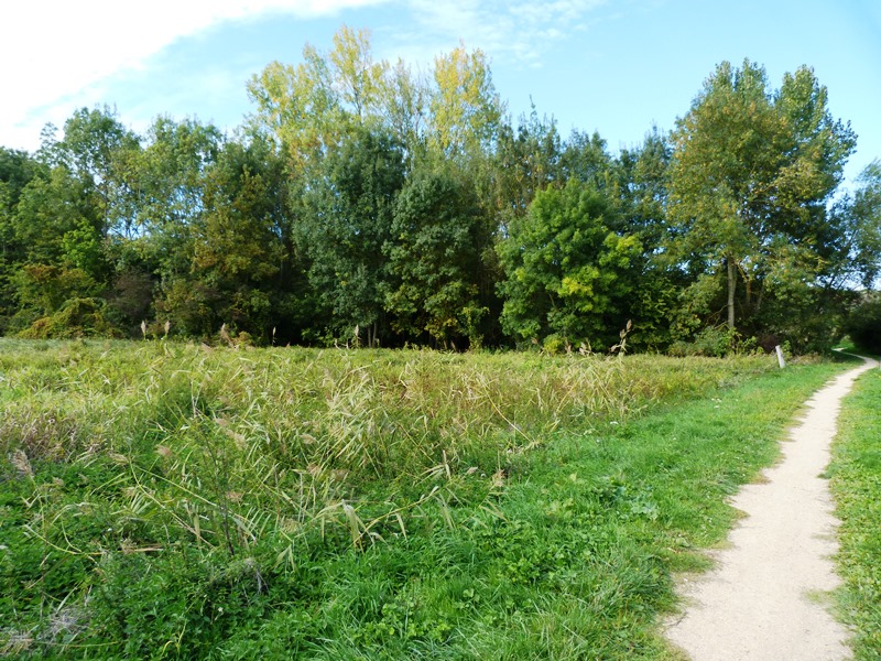 Espace naturel sensible du Grand Rozeau et des Près Blonds, Châlette-sur-Loing