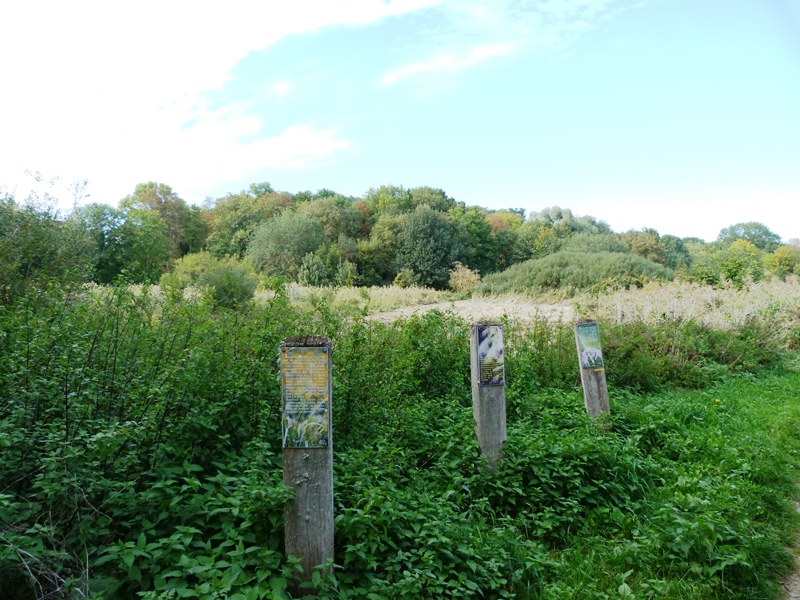 Sentier "Le Grand Rozeau", Châlette-sur-Loing - photo 5