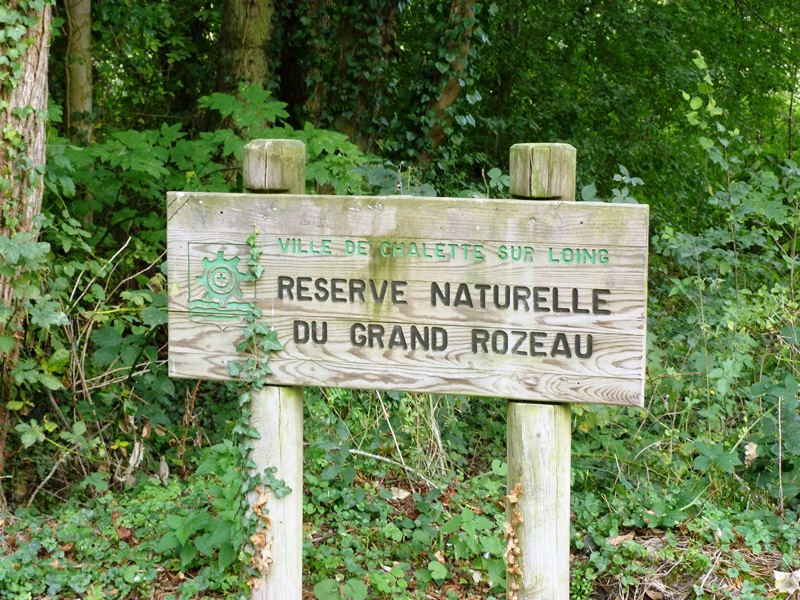 Sentier "Le Grand Rozeau"  France Centre-Val de Loire Loiret Châlette-sur-Loing 45120