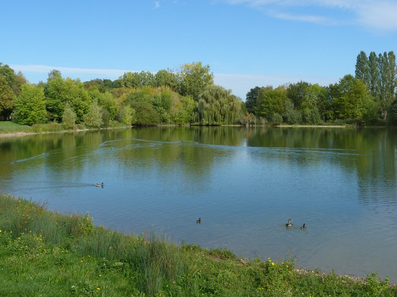 Promenade autour du lac, Châlette-sur-Loing - photo 4