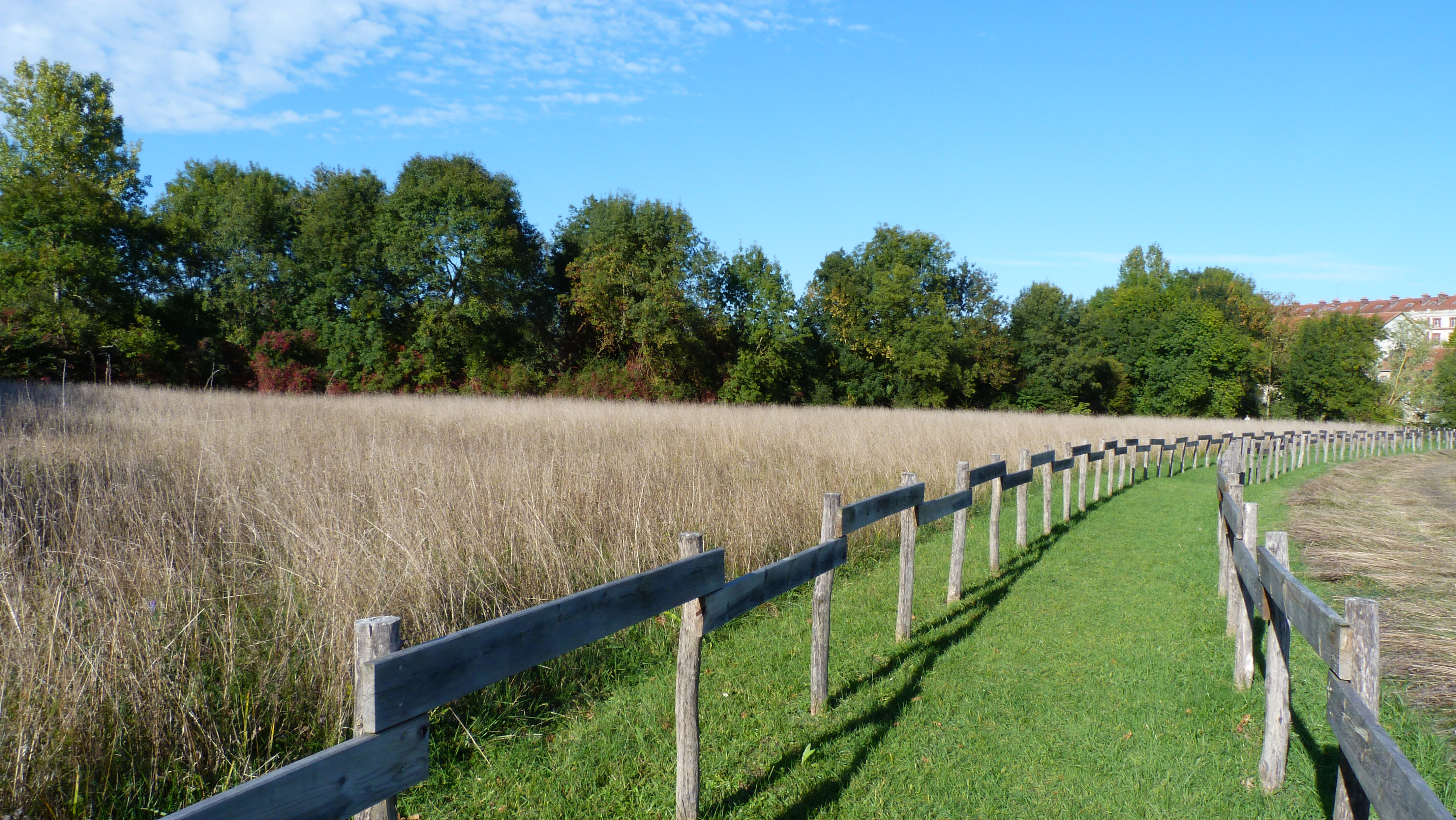 Espace naturel sensible de la prairie du Puiseaux et du Vernisson, Montargis - photo 3