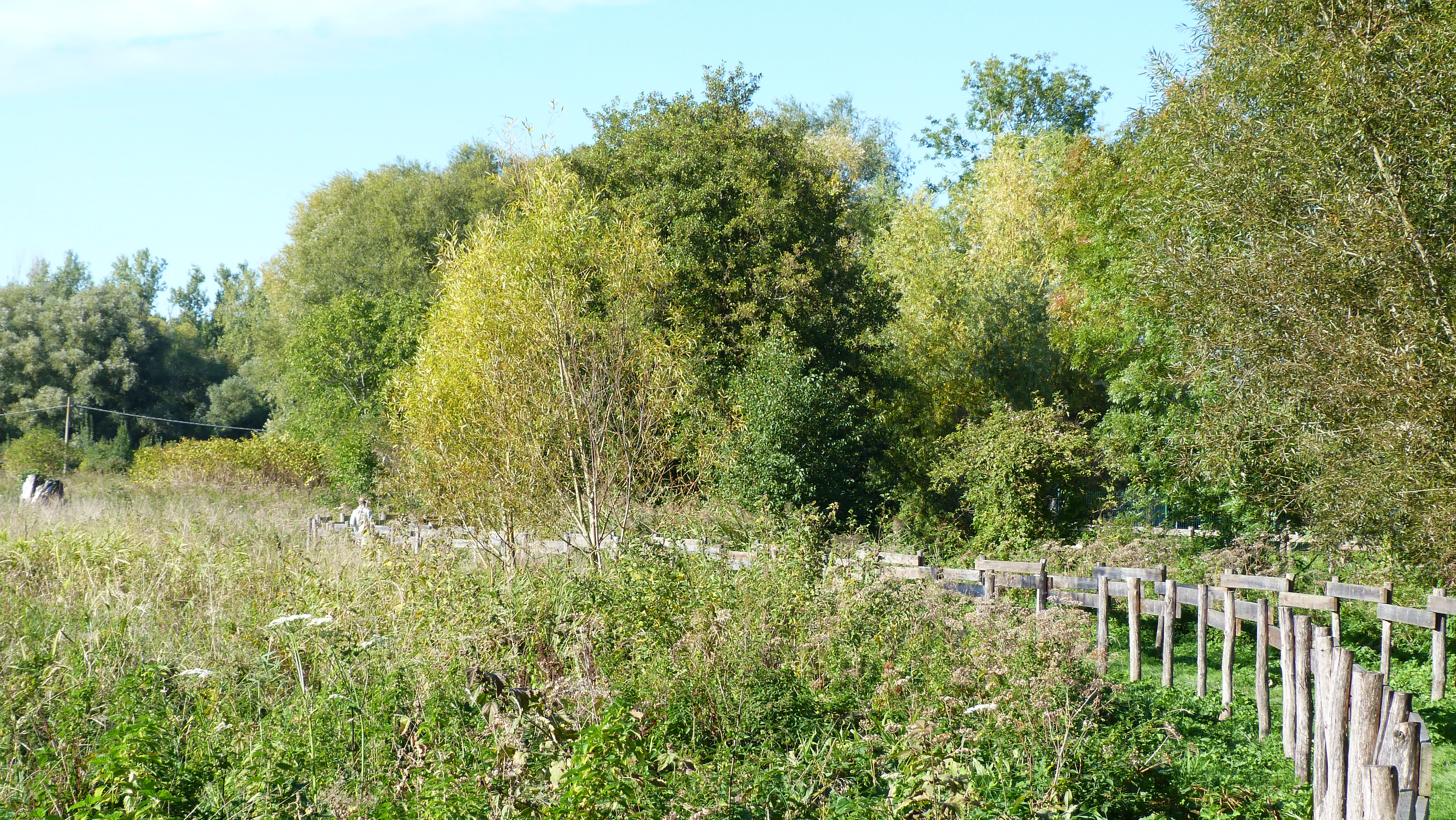 Espace naturel sensible de la prairie du Puiseaux et du Vernisson, Montargis - photo 5