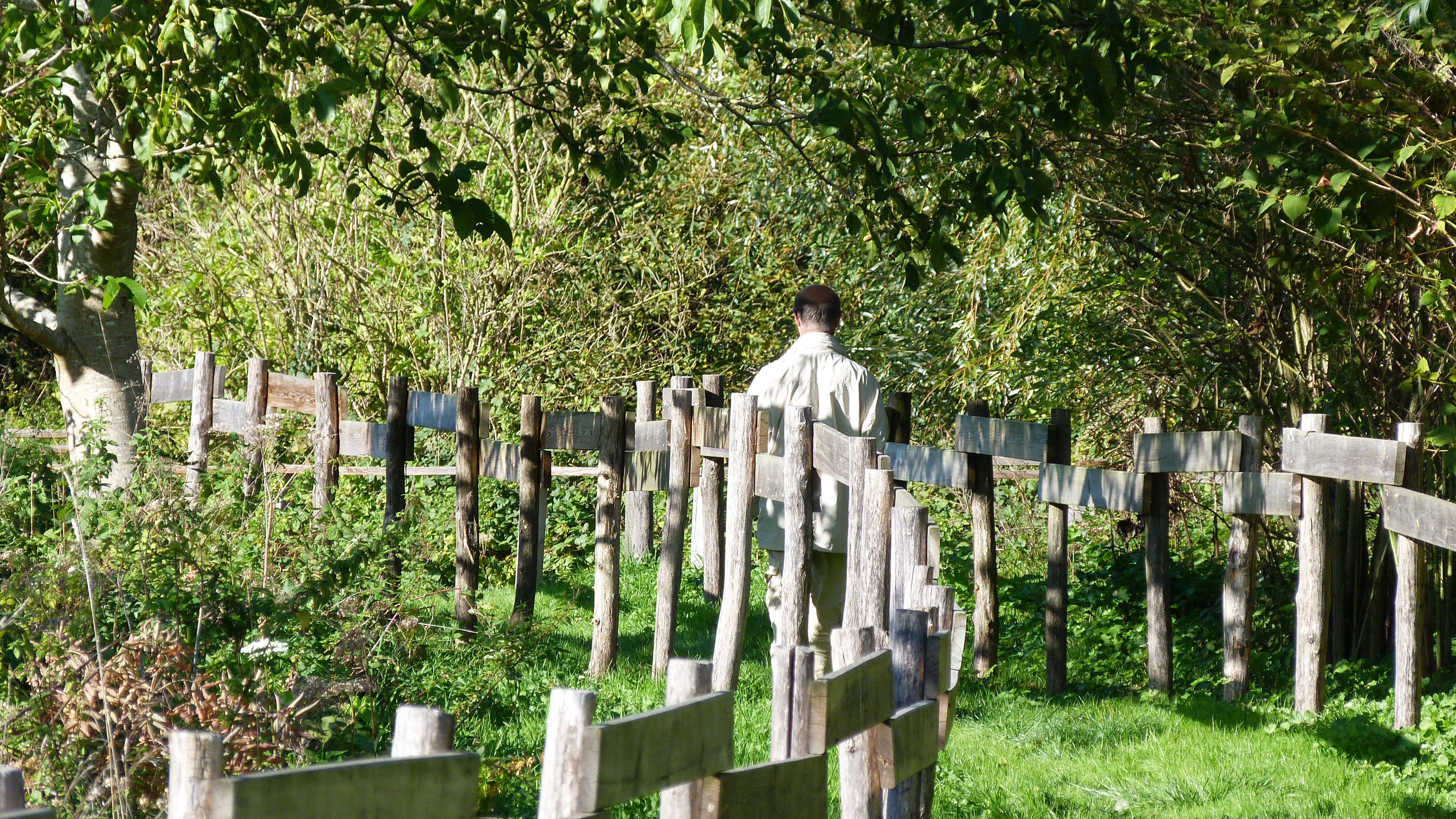 Espace naturel sensible de la prairie du Puiseaux et du Vernisson, Montargis - photo 4