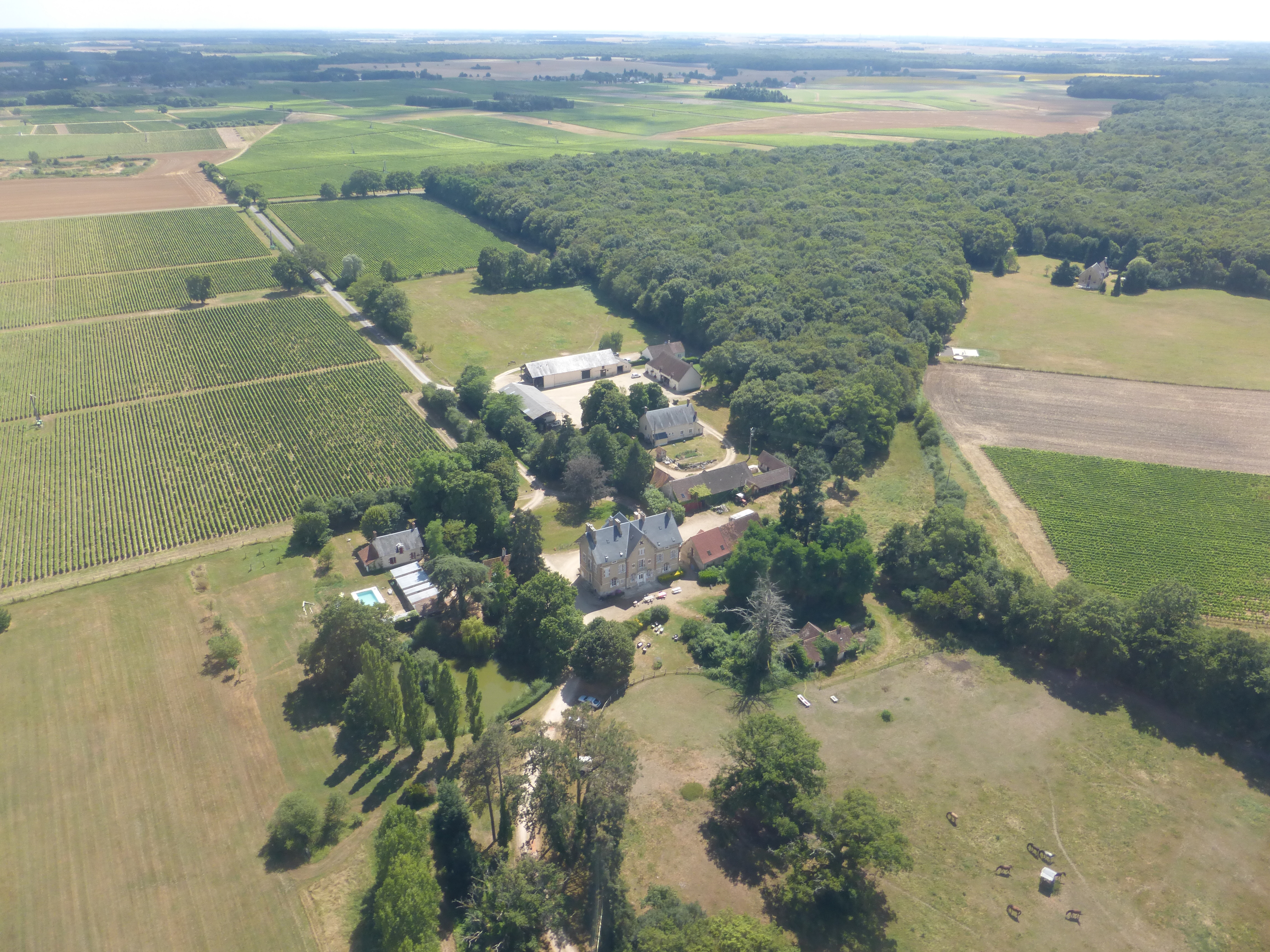 Domaine Philippe Portier