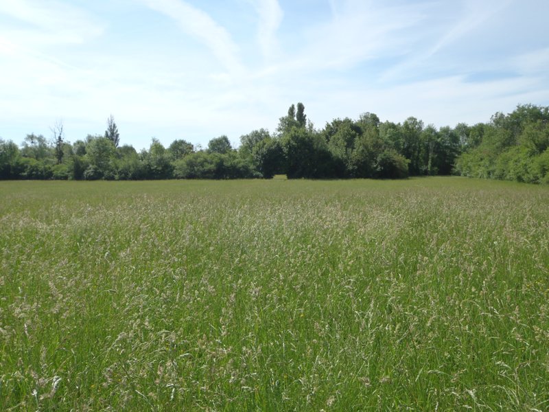 Espace naturel sensible des prairies de la Celle, La Celle - photo 2