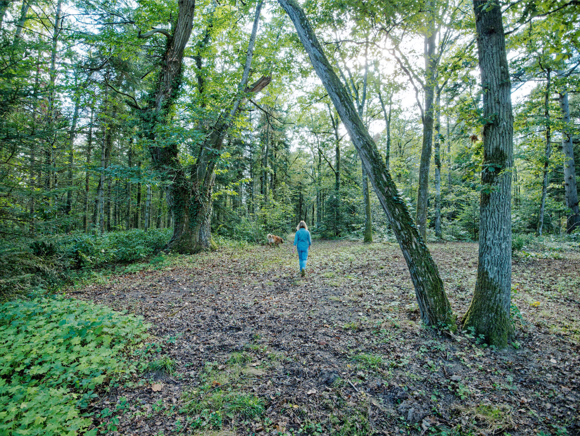 Les Bambous, Crouy-sur-Cosson - photo 16
