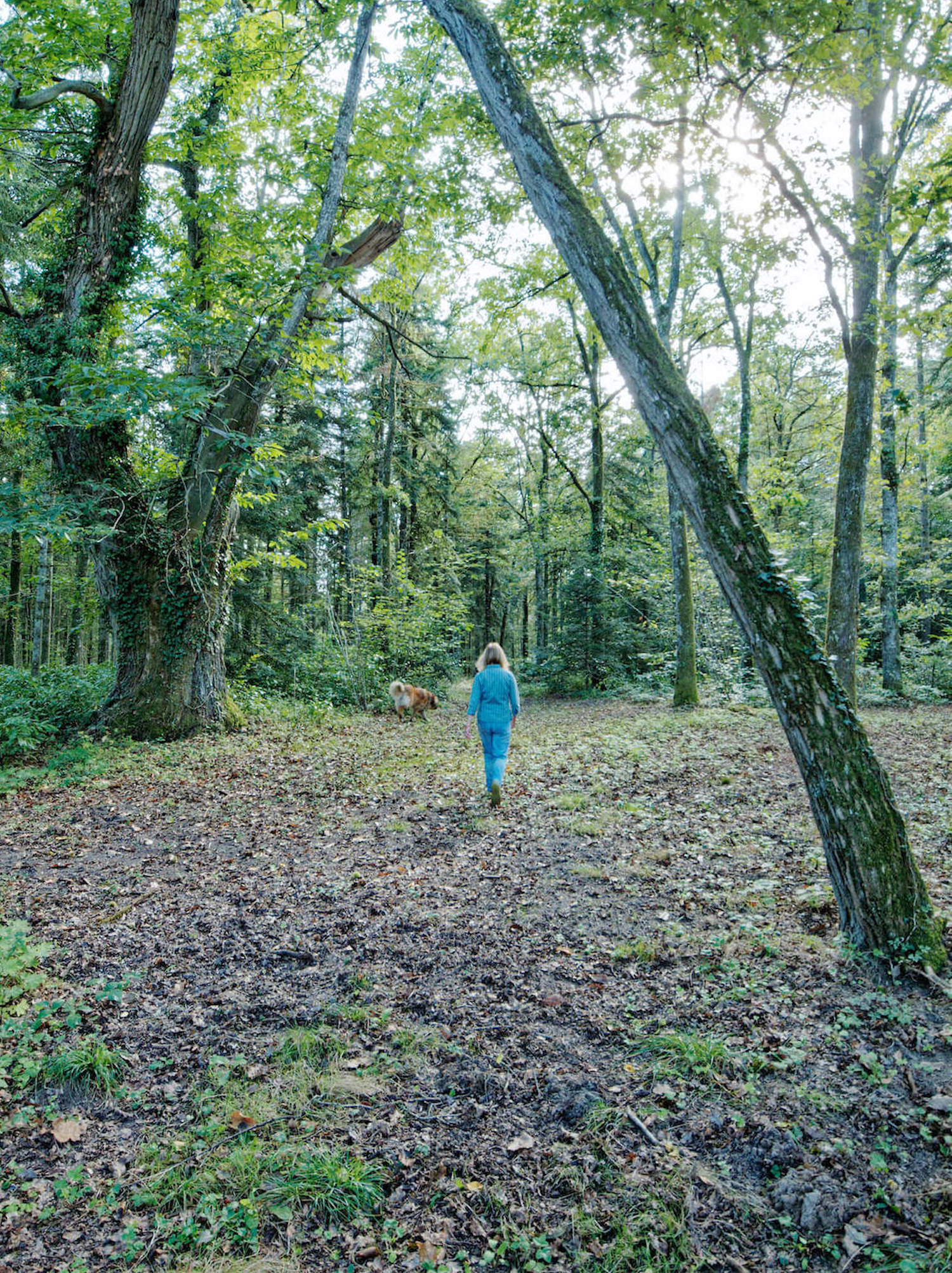 Les Glycines, Crouy-sur-Cosson - photo 19