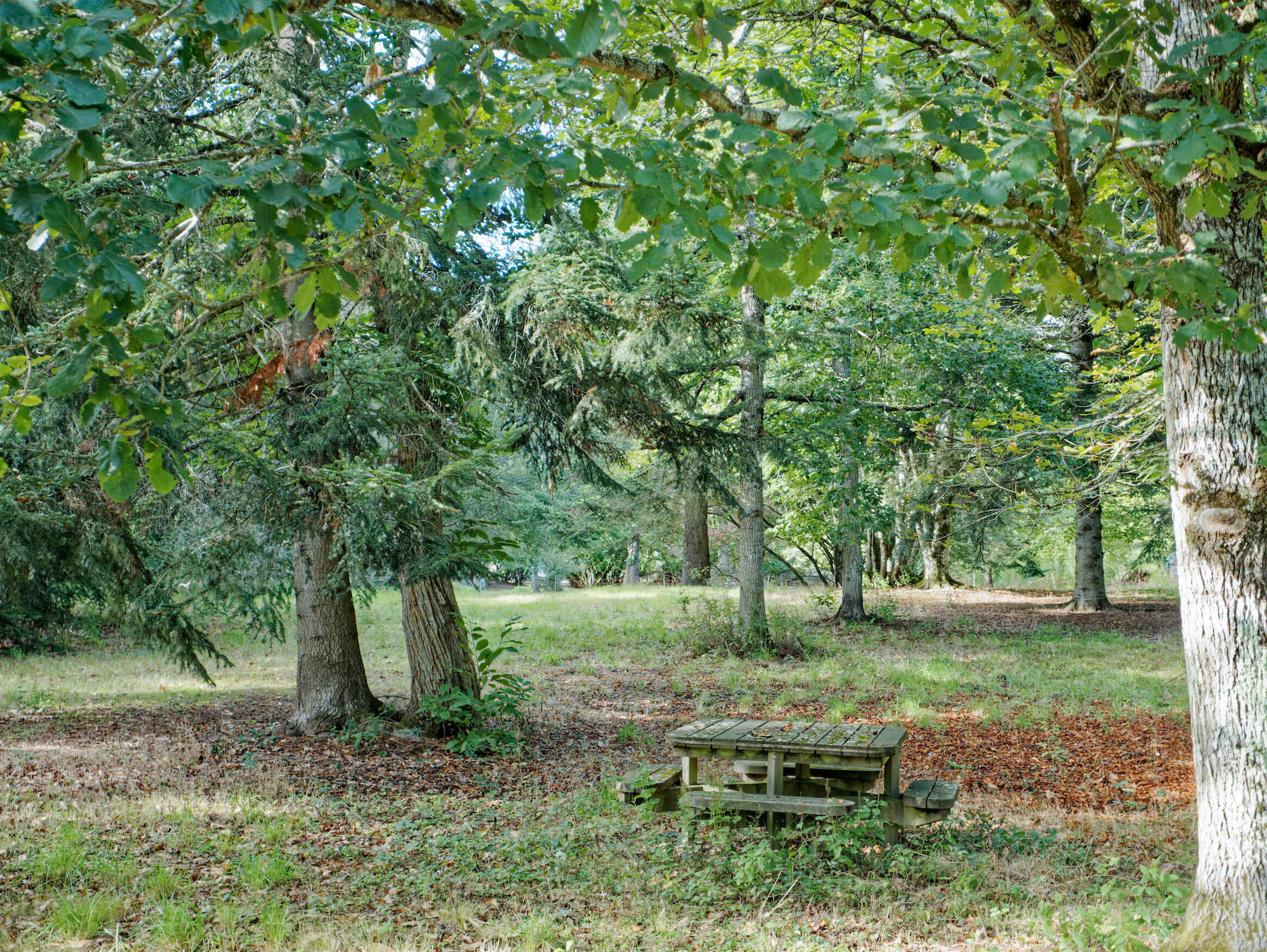 Les Glycines, Crouy-sur-Cosson - photo 10