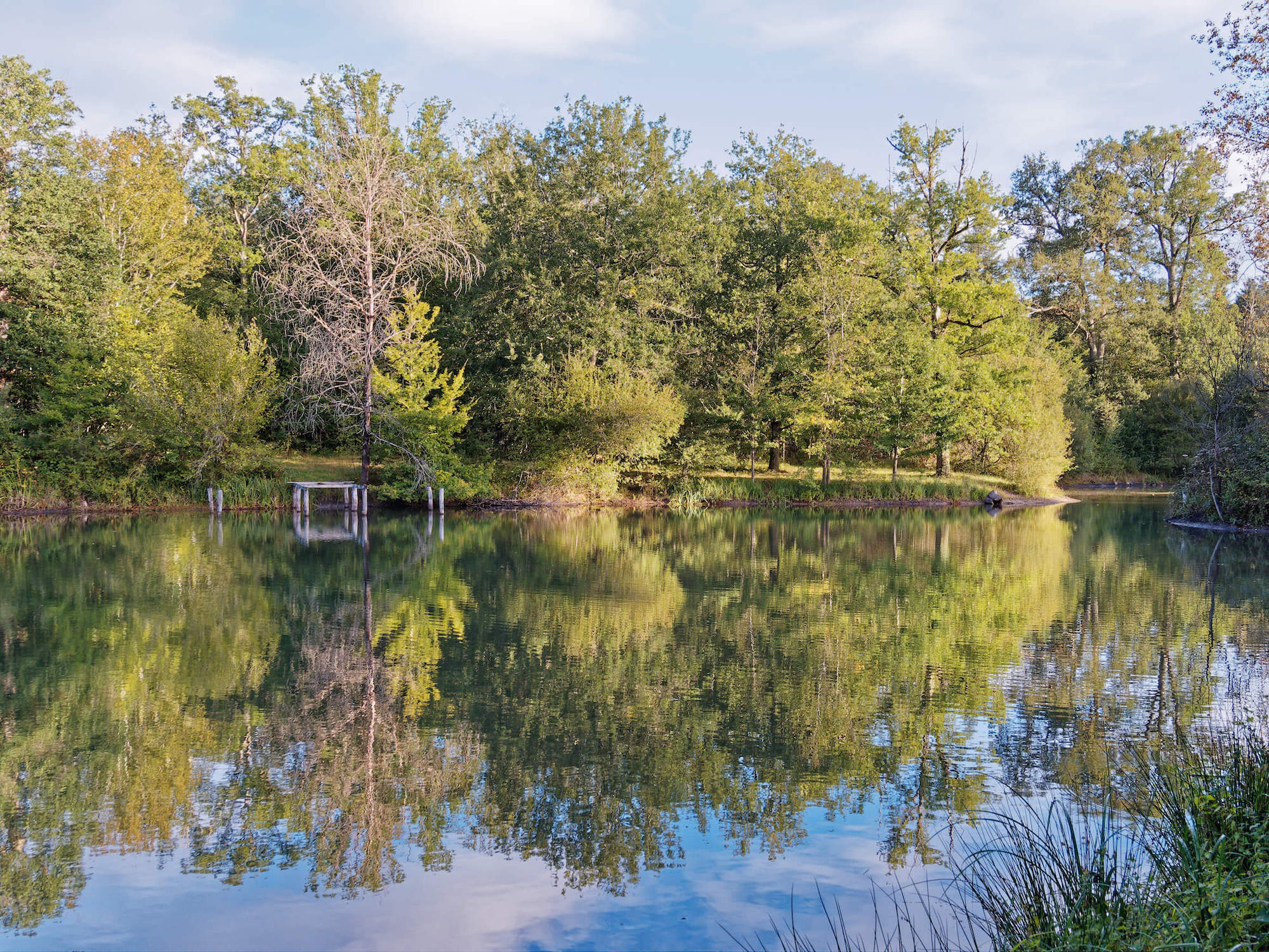 Les Bambous, Crouy-sur-Cosson - photo 7