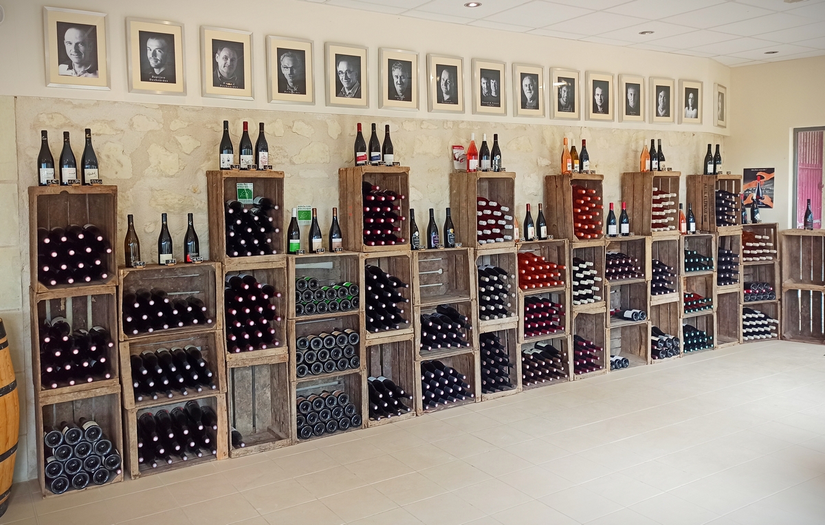 Cave de la Sibylle, Panzoult - photo 3