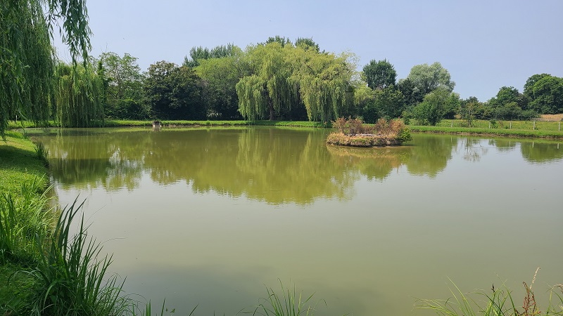 Pêche à l'étang communal de Paulnay