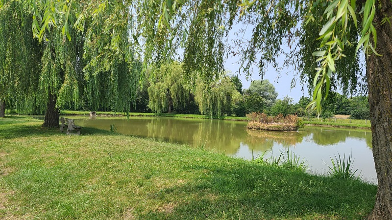 Pêche à l'étang communal de Paulnay — photo 2