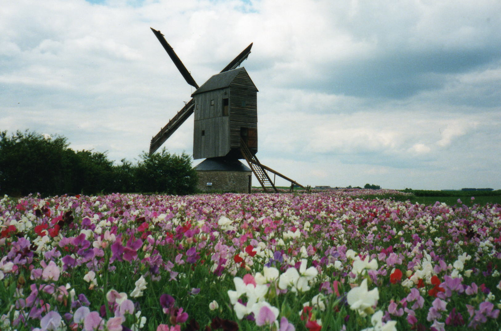 Moulin à vent "Fernand Barbier", Levesville-la-Chenard