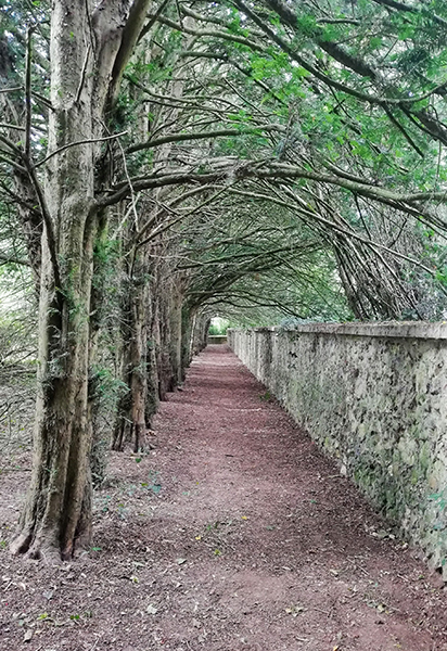 Château de Swann, Illiers-Combray
