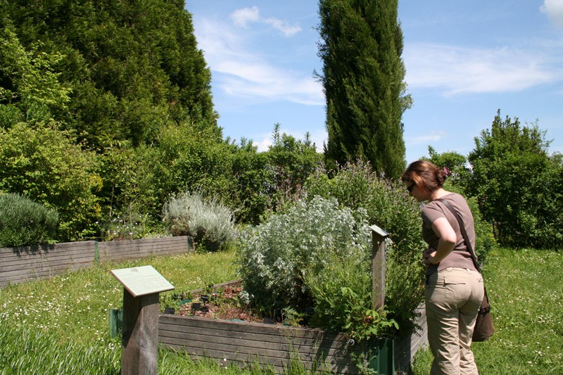 Musée et site archéologiques d'Argentomagus, jardin romain, Saint-Marcel - photo 8