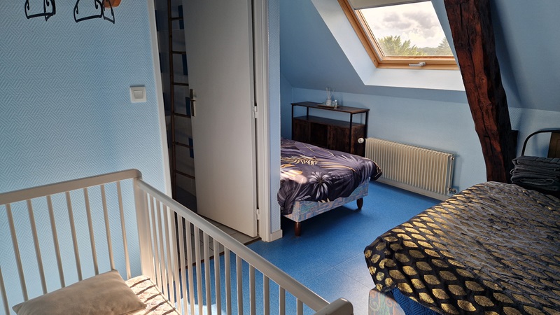 Le Perroquet Bleu, La Chapelle-Blanche-Saint-Martin - photo 3