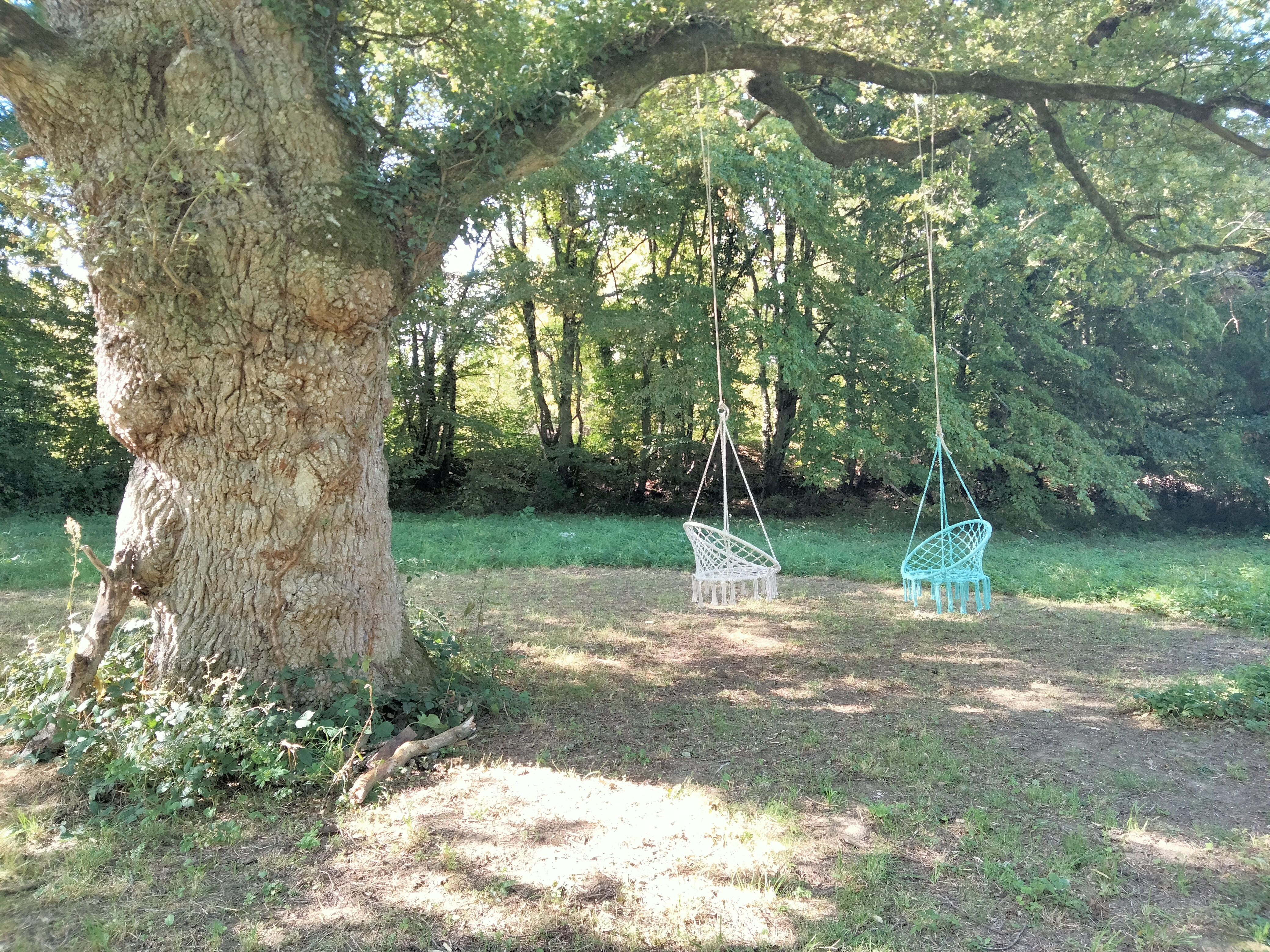 Camping et Parc  Résidentiel de Loisir  RESSOURCE-HERAT, Vigoulant - photo 7